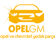 Opel GM screenshot