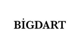 Bigdart screenshot